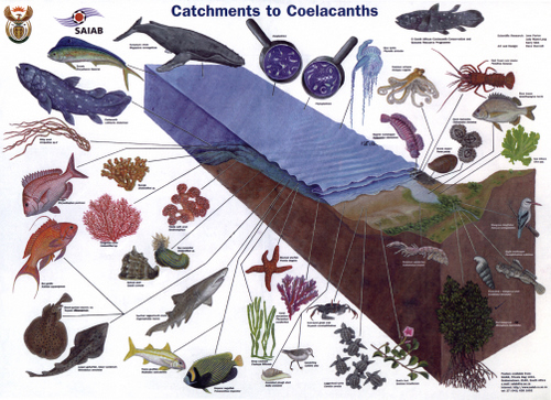 slide0014_image025.jpg